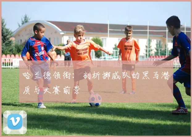 哈兰德领衔:剖析挪威队的黑马潜质与大赛前景