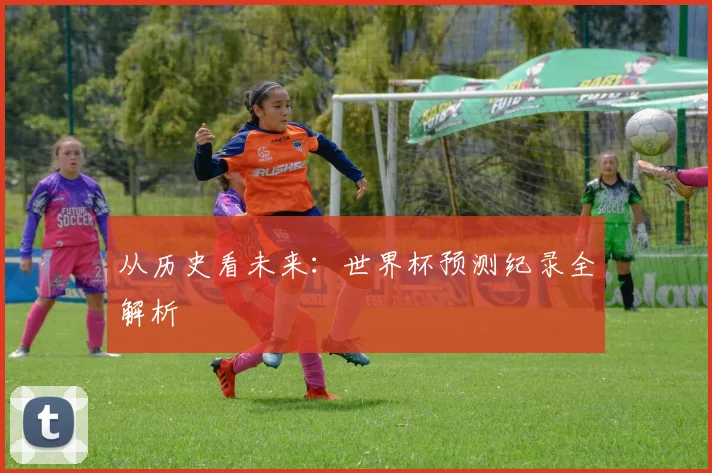 从历史看未来：世界杯预测纪录全解析